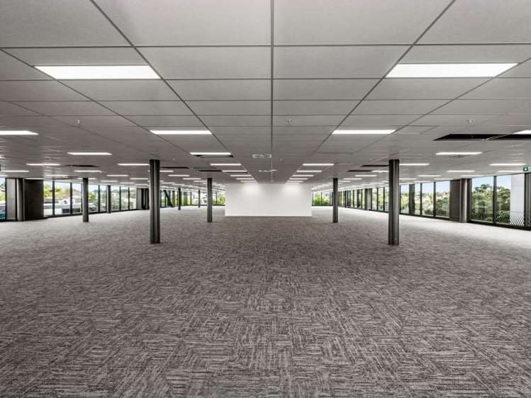 Whole Building/9 Marewa Road Greenlane_7