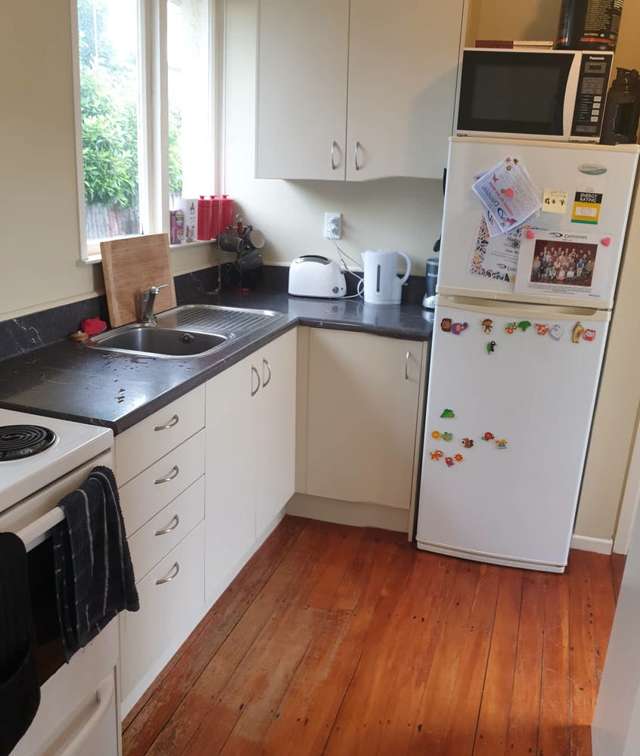 97 Princes Street Georgetown_4