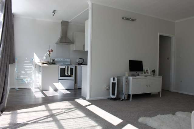 3/25 Saint Vincent Avenue Remuera_2