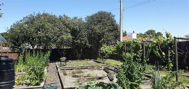 SECTION FOR SALE: