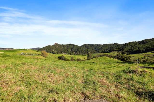 Lots 1&3/101 Brooklands Way Kaiwaka_4