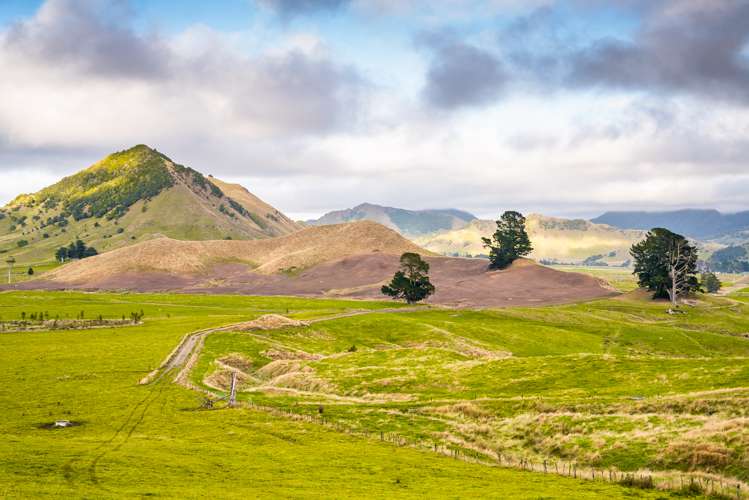 313 Te Wera Road Matawai_16