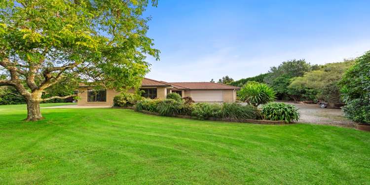 617a Esdaile Road Whakamarama_18