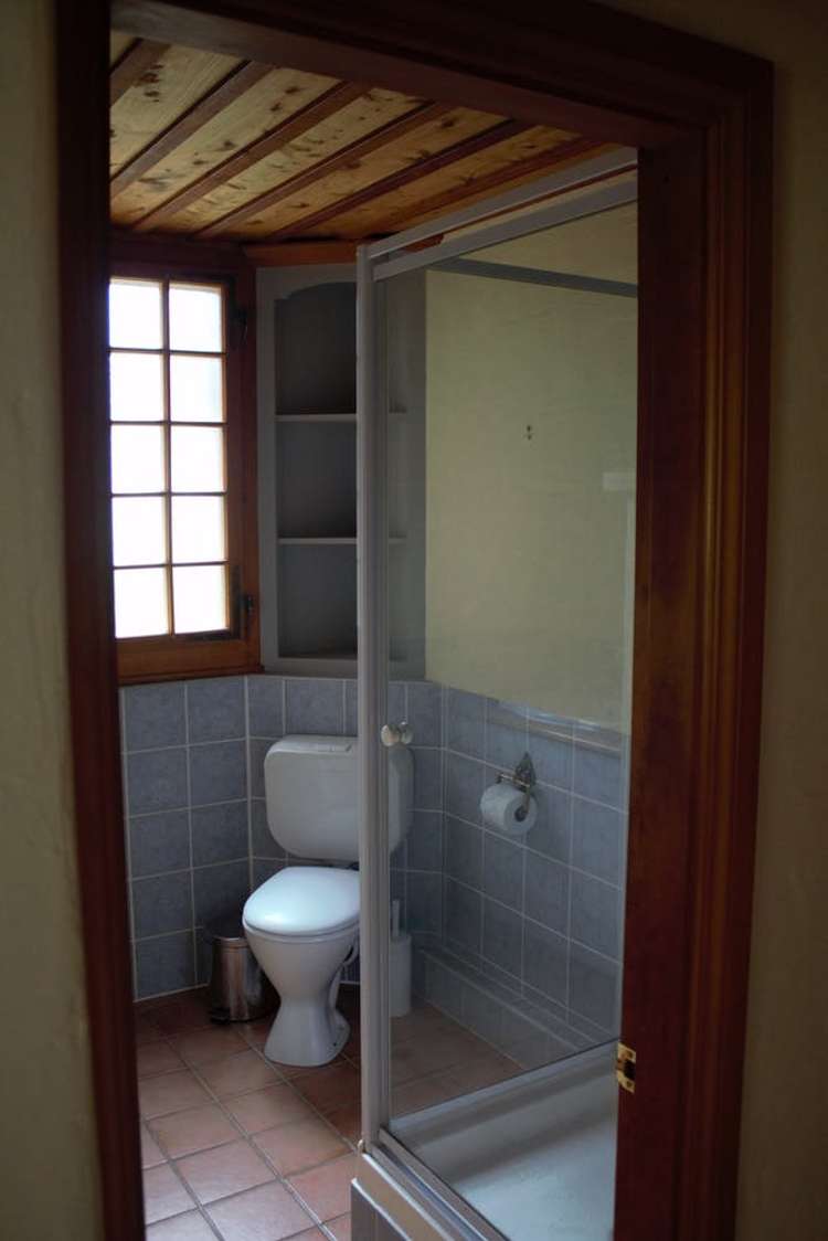 538 Kowai Road Springfield_6