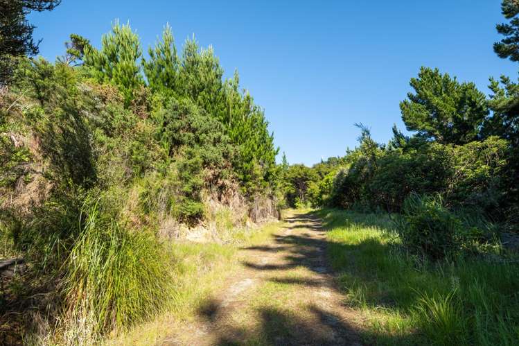 1786 Port Underwood Road Marlborough Sounds_69