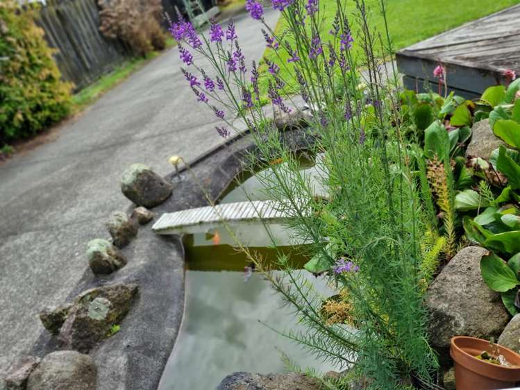 23 Forest View Road Mangakino_9