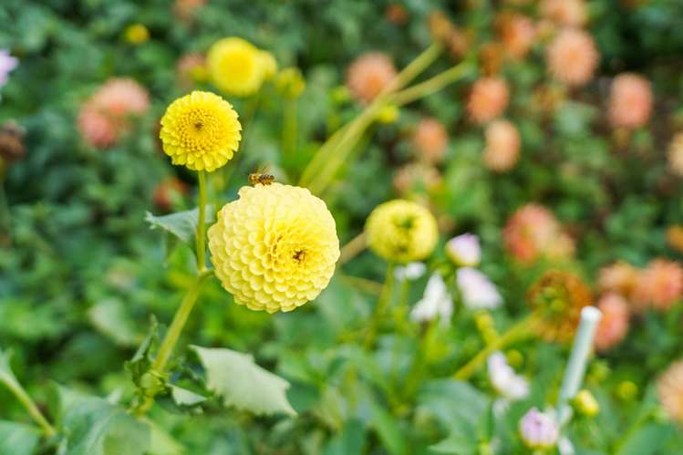 288 Oropi Gorge Road Oropi_35