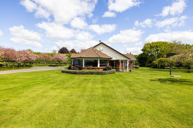 36 Roto-O-Rangi Road Cambridge_6