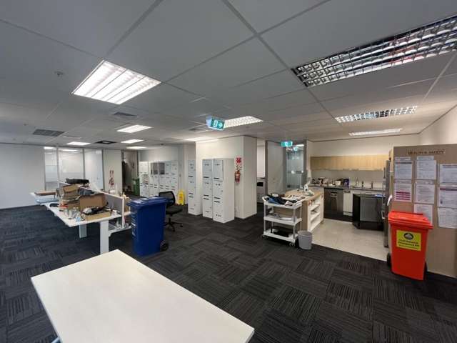 18 Normanby Road Mount Eden_2