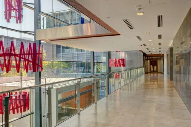 Nicholls Lane Parnell_1