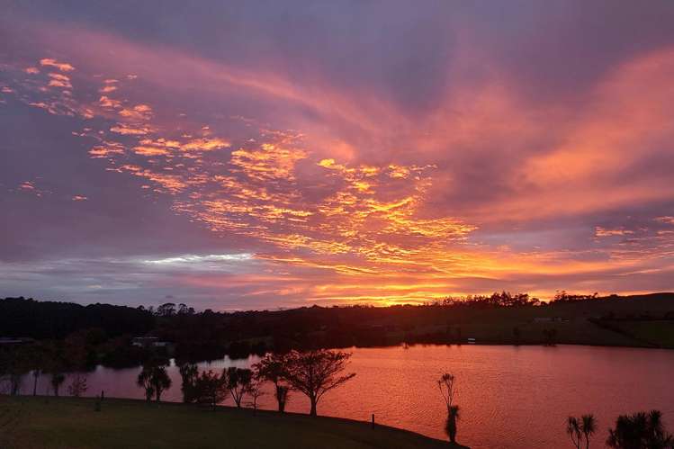 29 Daniel Parade Mangawhai_29