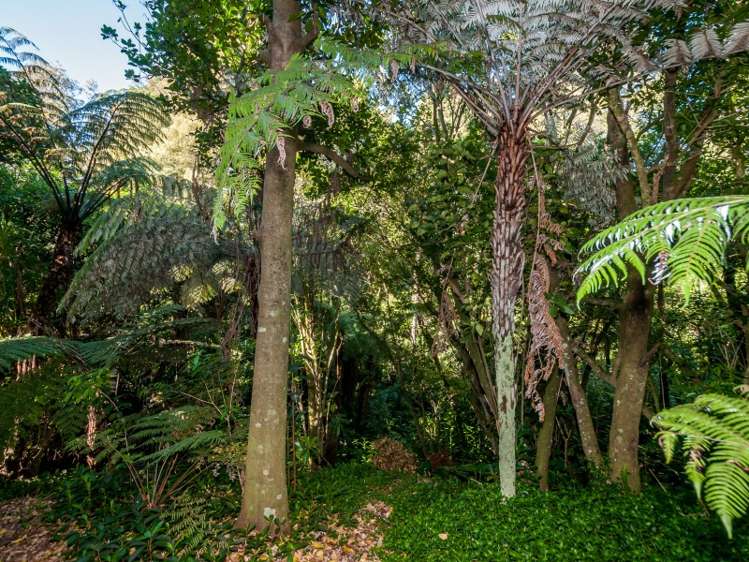 4/11 Waratah Street Birkenhead_16