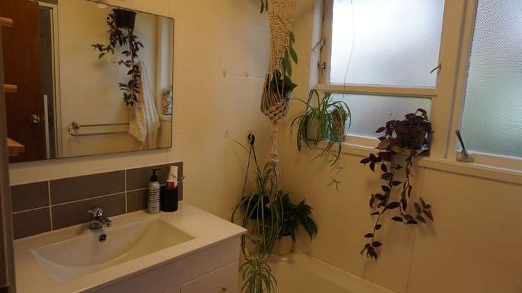 111 Mallard Drive Selwyn Heights_10