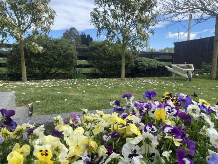 19 Lancewood Way Rangiora_32