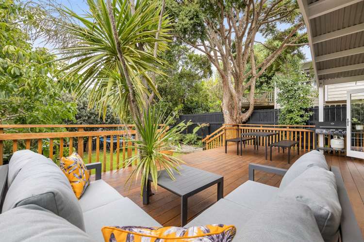 5 Allen Road Grey Lynn_8