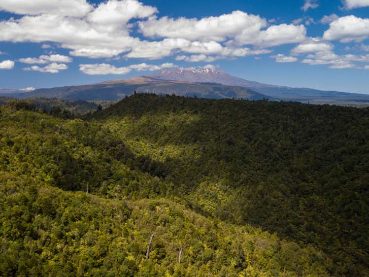 552b Cuff Road National Park_11