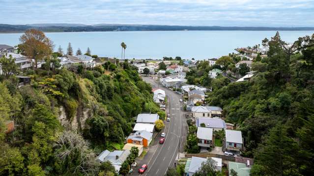 118 Shakespeare Road Bluff Hill_2