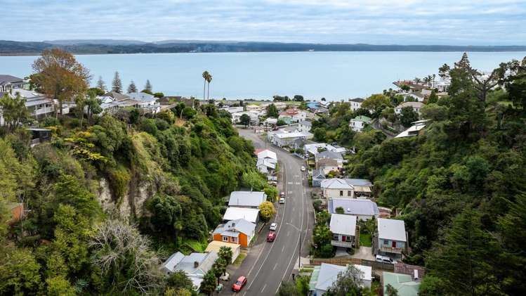 118 Shakespeare Road Bluff Hill_2