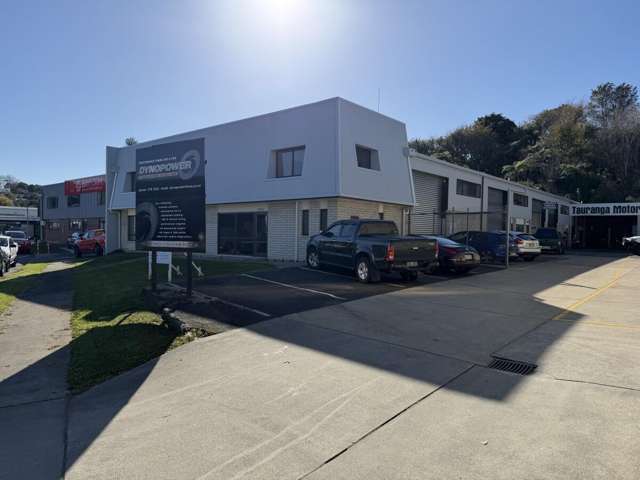 99 Birch Avenue Judea_1
