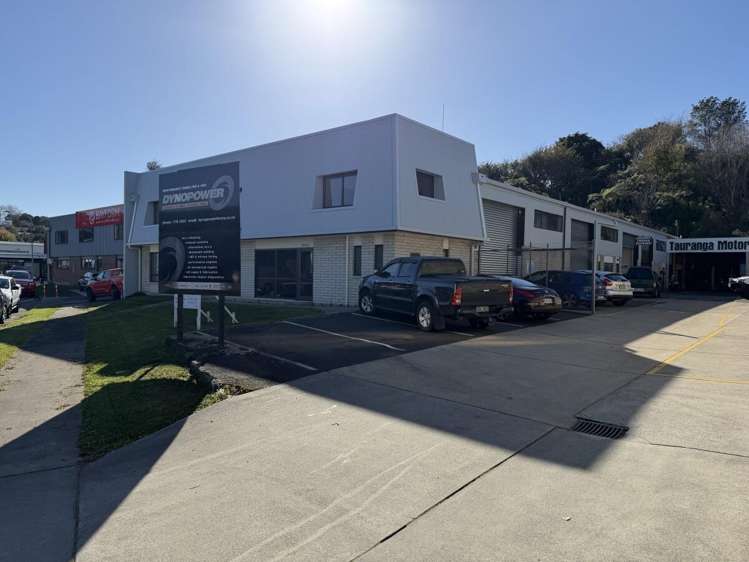 99 Birch Avenue Judea_1