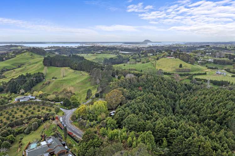 62 Lowe Road Whakamarama_21