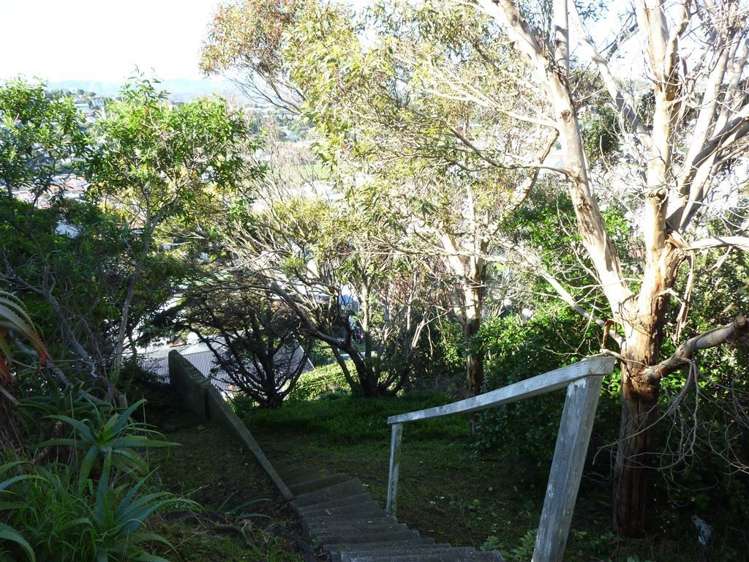 75 Miramar North Road Miramar_22