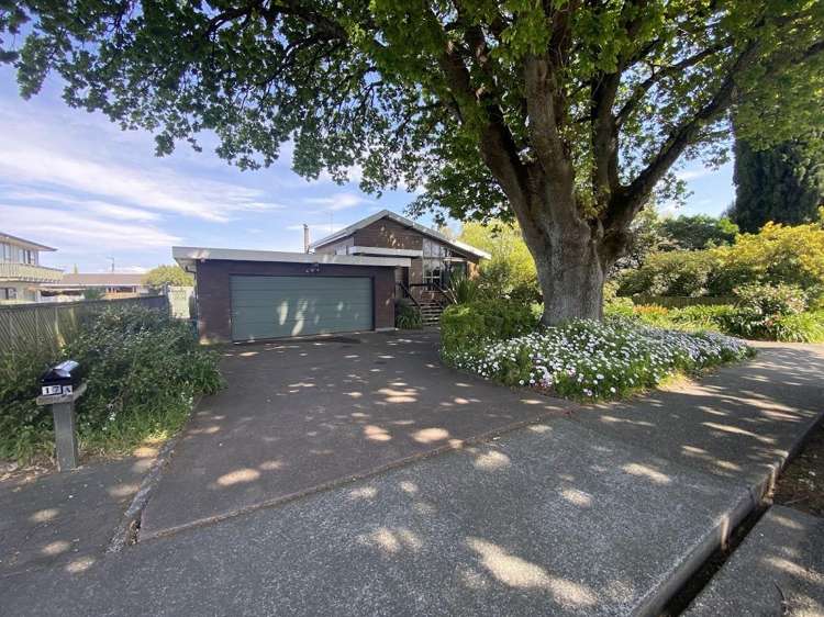 17A Gaisford Terrace Waipukurau_15