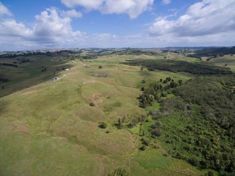 137 Sanson Road Ruawaro_6