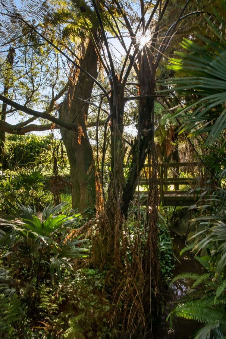 25 Gilmour Street Waihi_19