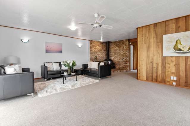 9 Nikau Street Springfield_3