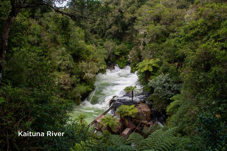 4 Malvern Road Okere Falls Rotorua Houses for Sale One Roof