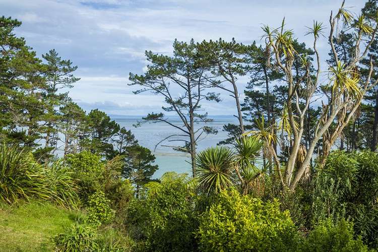 37a Sylvania Crescent Lynfield_6