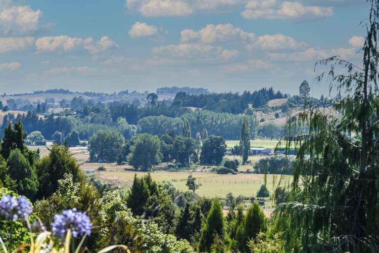 109 Martin Road Upper Moutere_24