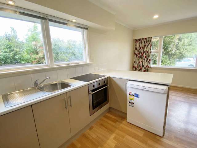 54 Bethel Crescent Bishopdale_2