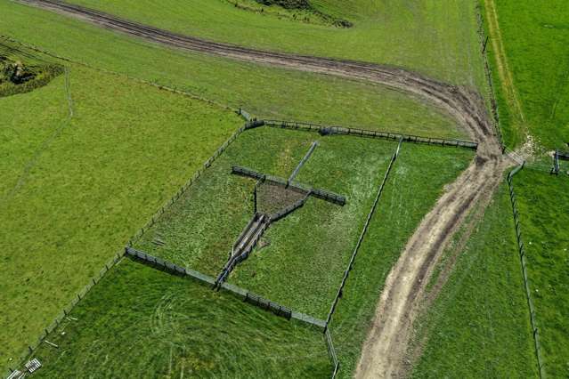 759 Waitahuna Gully Road Lawrence_4