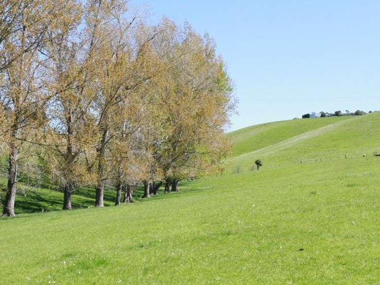 539 Rolling Ridges Road Levels Valley_24