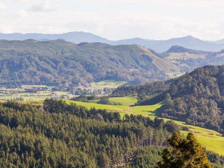 425l Boat Harbour Road Whenuakite_9