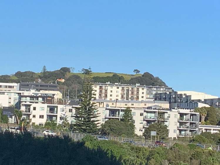 2b/6 Winchester Street Grey Lynn_17