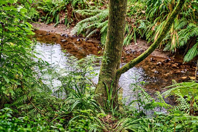 1200 State Highway 1 Manakau_17