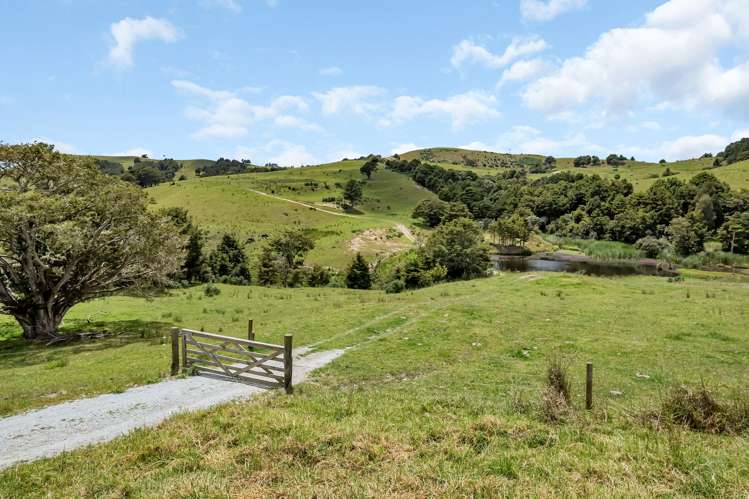 123 Homackey Road Matakohe_22