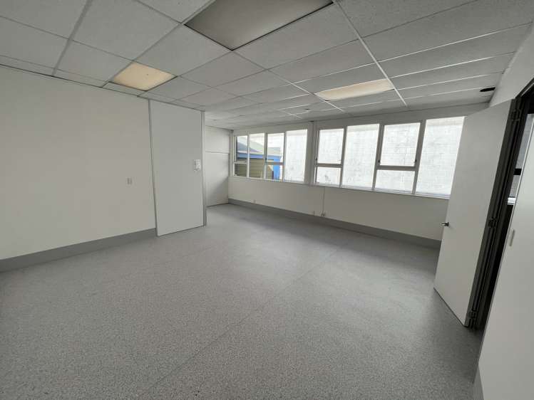 24 Sydney Street Petone_6