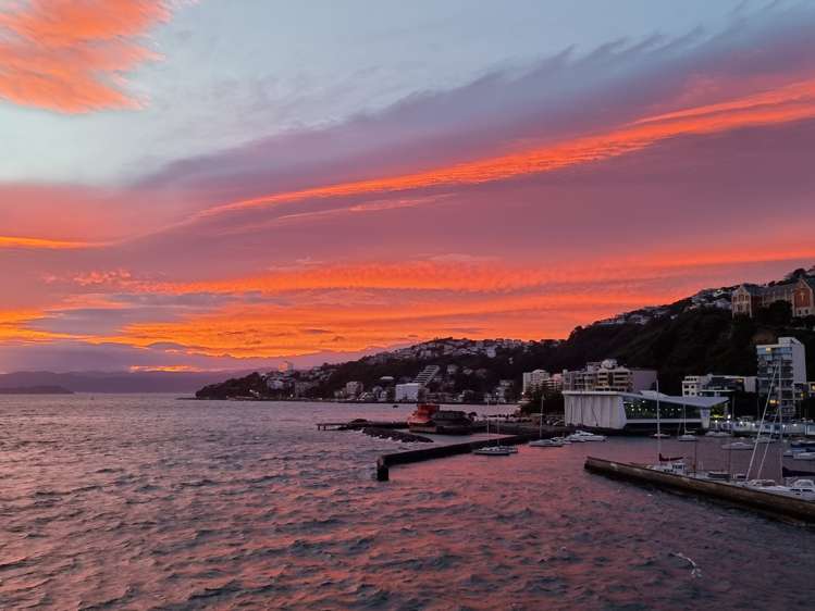 3c/8 Clyde Quay Wharf Te Aro_21