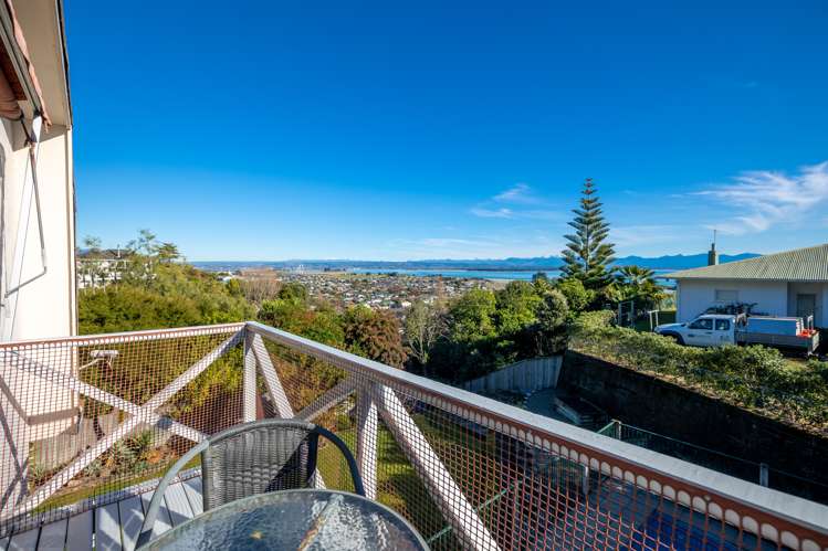 38a Stansell Avenue Tahunanui_2