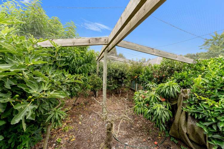 29/31 Archibald Street Ashburton_26