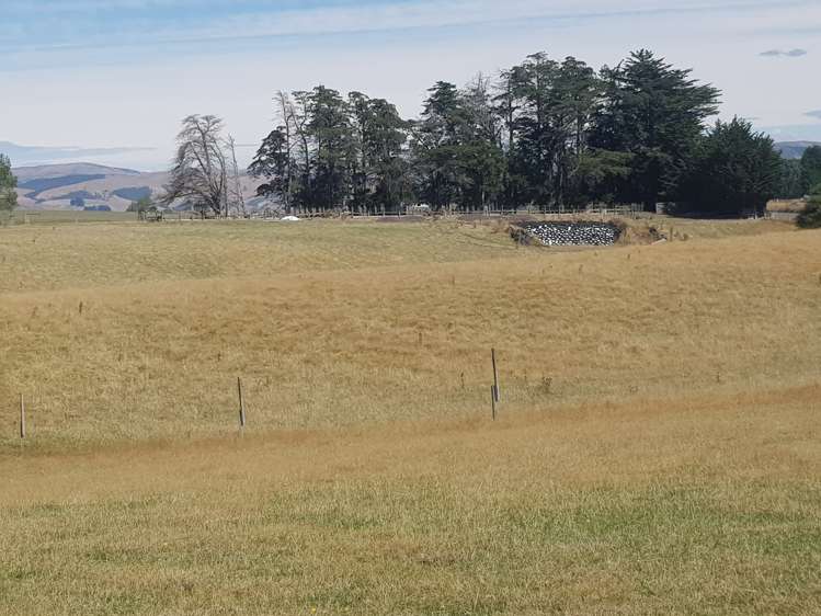 293 Freezing Works Road Balclutha_12