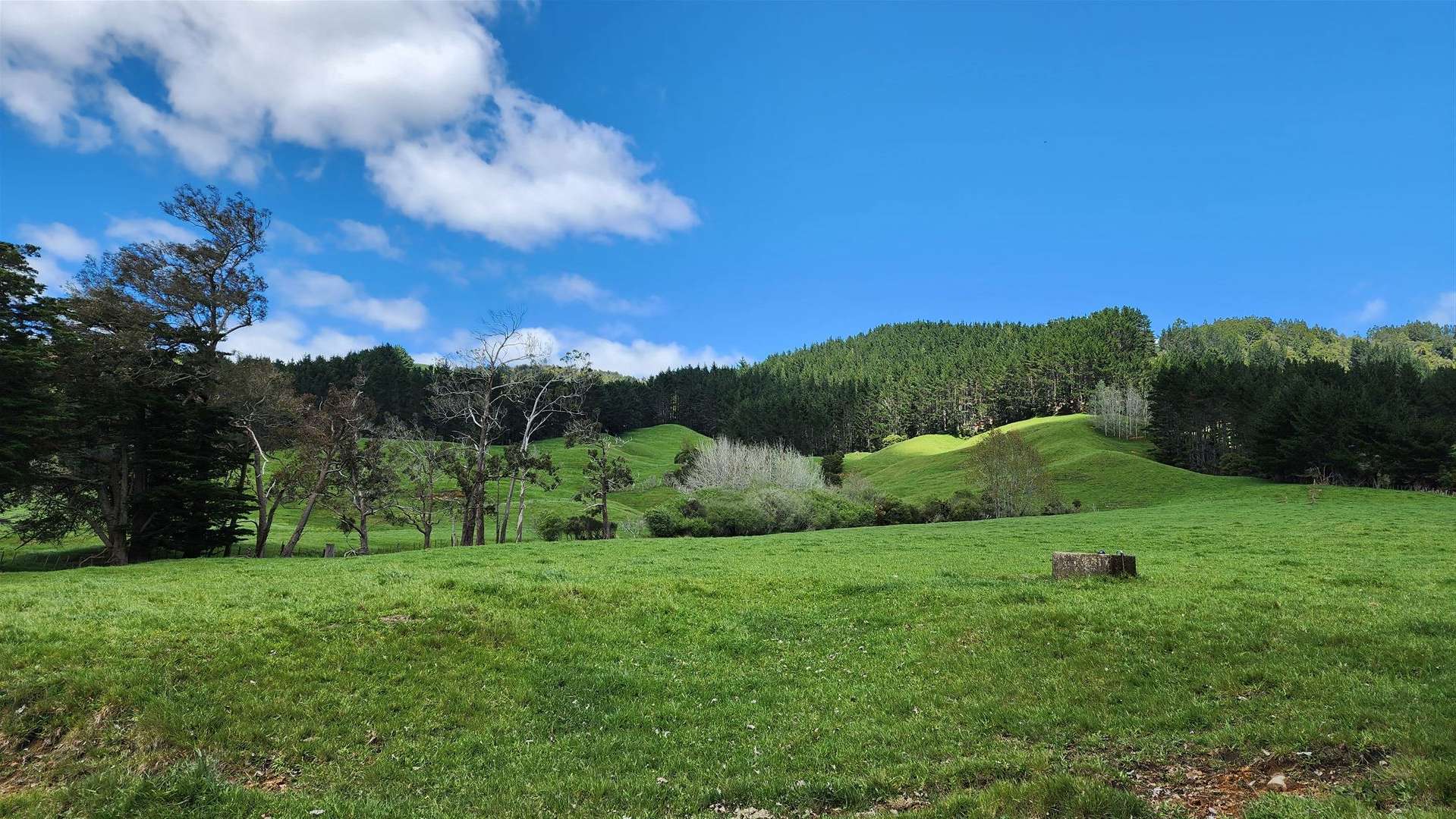 722 Maratoto Road Hikutaia ThamesCoromandel Rural Property For