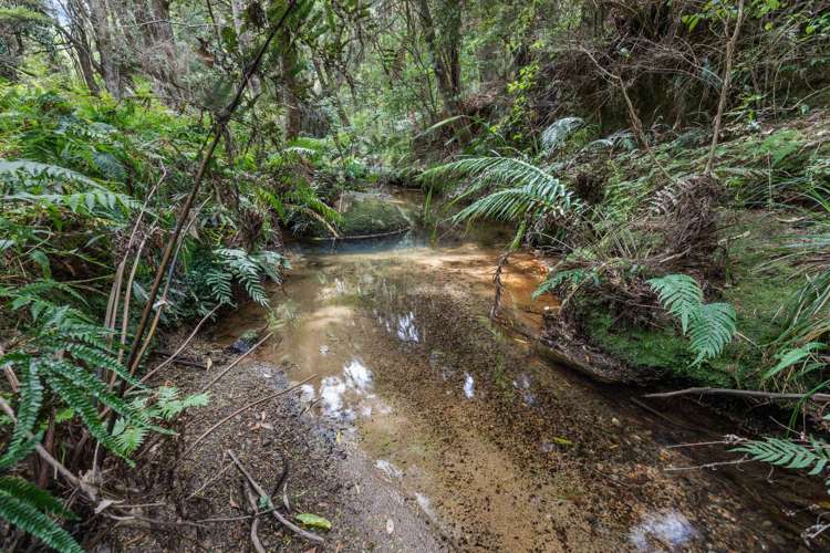 453 Cemetery Road Maunu_15