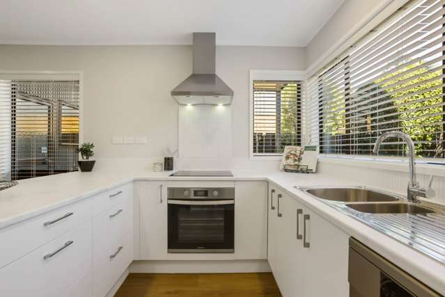 3 Balmer Lane Mount Eden_3