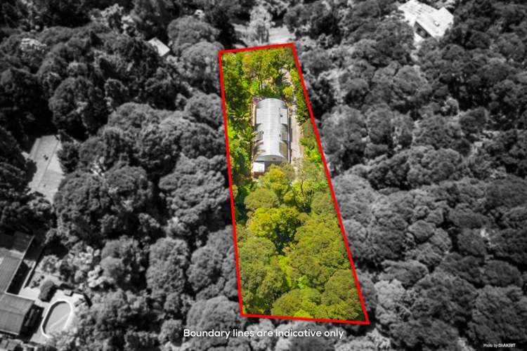 78 Mountain Road Henderson Valley_20