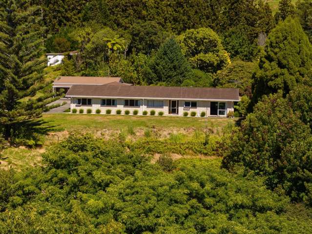 236 Willoughby Road Tahawai_4